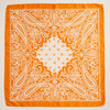Silk Texture Paisley Bandana Scarf for Men & Women