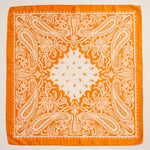 Silk Texture Paisley Bandana Scarf for Men & Women