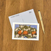 Postcard CA-67 Oranges and Blossoms, California