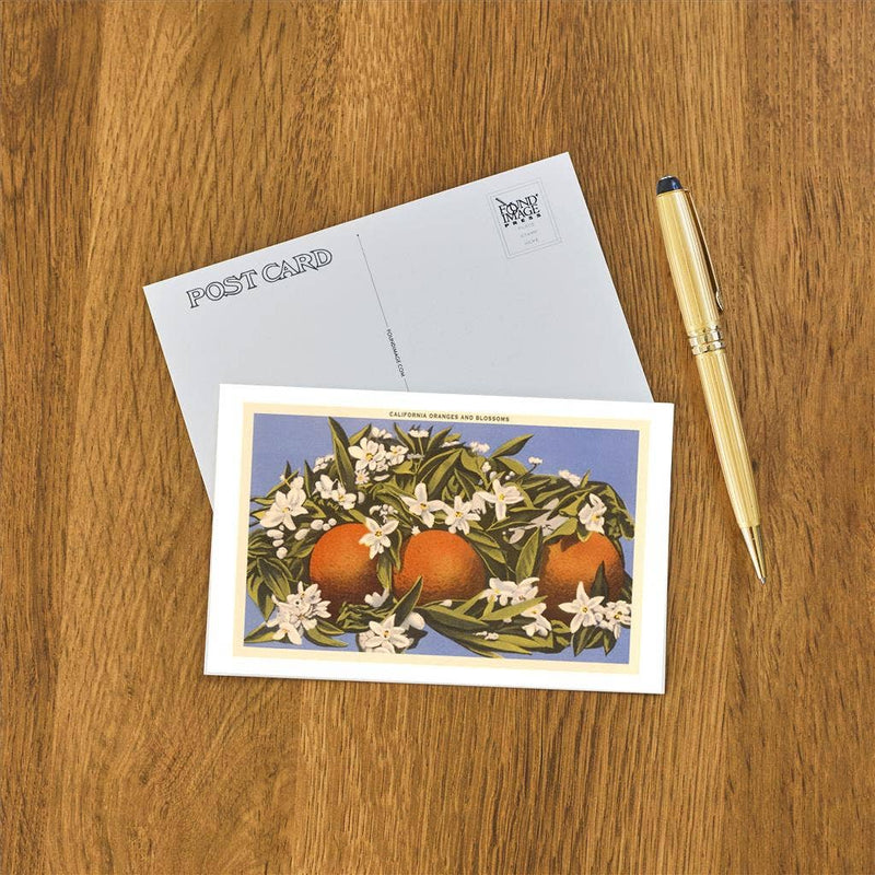 Postcard CA-67 Oranges and Blossoms, California