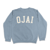 Ojai Vintage Washed Collegiate Crewneck