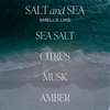 Salt and Sea 15 oz Soy Candle, Matte Jar -  Home Decor