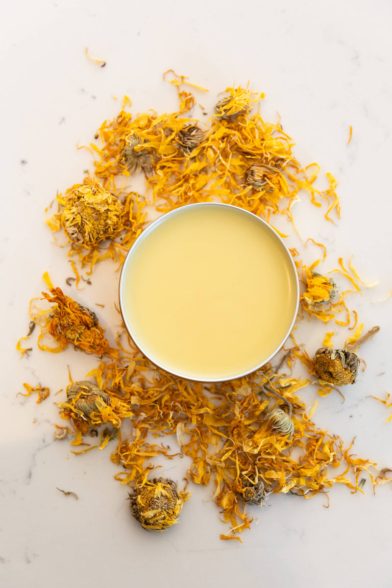 Honey Shine Calendula
salve 1 oz