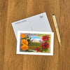 Postcard CC-31 Poppies, Poinsettias, Ojai
