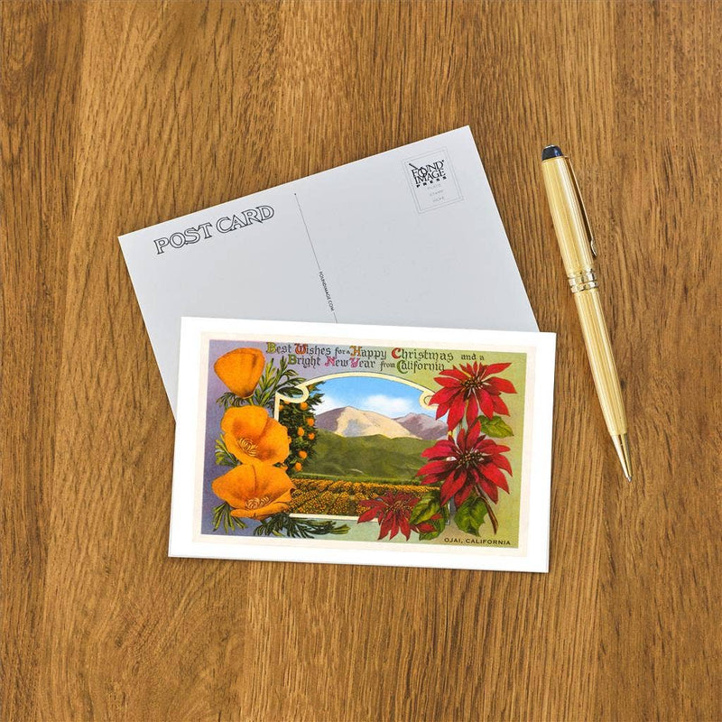 Postcard CC-31 Poppies, Poinsettias, Ojai