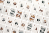 National Parks Playing Cards
