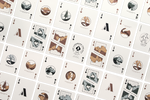 National Parks Playing Cards
