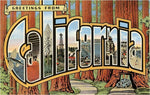 Postcard CA-16 Greetings from California