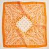 Silk Texture Paisley Bandana Scarf for Men & Women