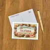Postcard CA-1376 Souvenir from California