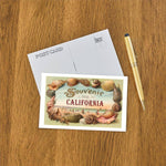 Postcard CA-1376 Souvenir from California