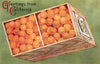Postcard CA-1262 Greetings from California, Orange Crate