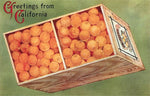 Postcard CA-1262 Greetings from California, Orange Crate