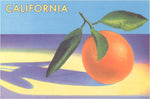 Postcard CA-943 Single Orange with Blue Shadow, California
