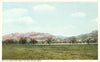 Postcard CA-1268 Matilija Mountain, Ojai Valley