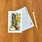 Postcard CA-324 This little Dot, Map of California, Poppies