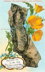 Postcard CA-324 This little Dot, Map of California, Poppies