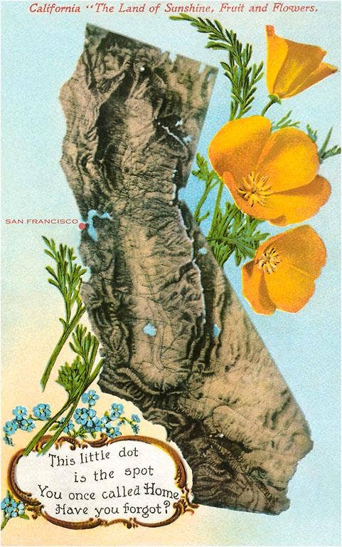 Postcard CA-324 This little Dot, Map of California, Poppies