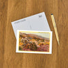 Postcard CD-18 Chollas Cactus and Desert Flowers