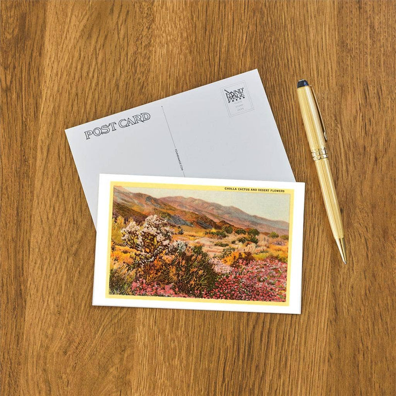 Postcard CD-18 Chollas Cactus and Desert Flowers
