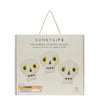 Halloween Light Up Hanging Skulls Bone Set of 3