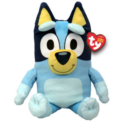 BLUEY - floppy reg