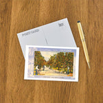 Postcard CA-356 Greetings from California, Orange Grove