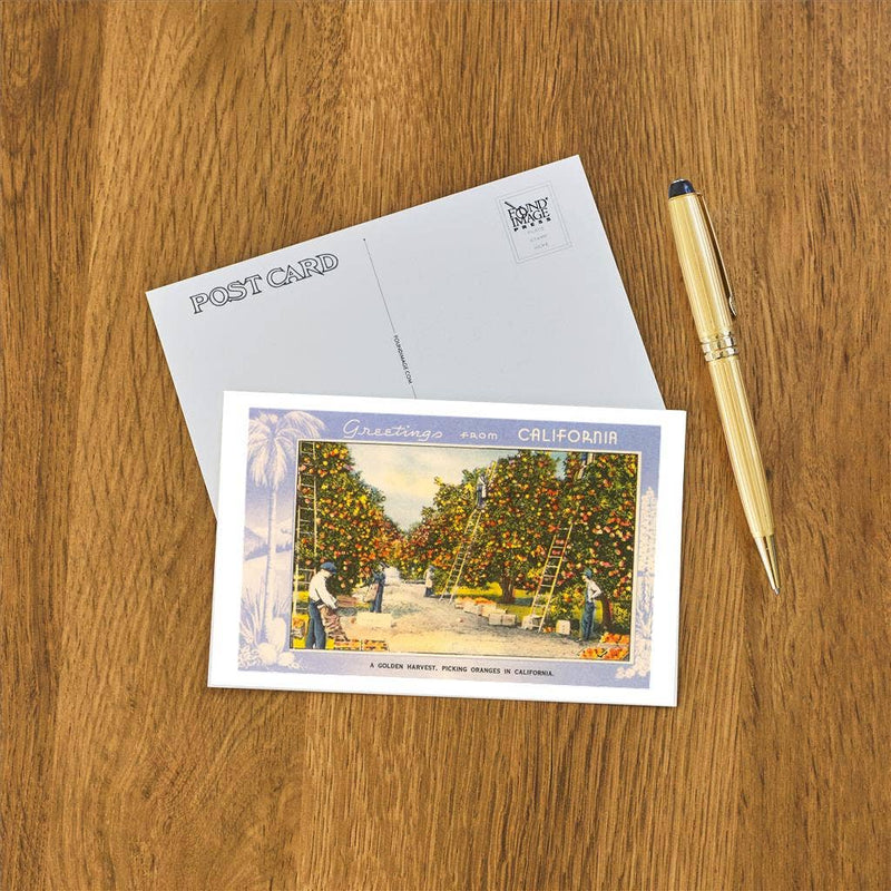 Postcard CA-356 Greetings from California, Orange Grove