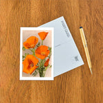 Postcard CA-121 California Poppies