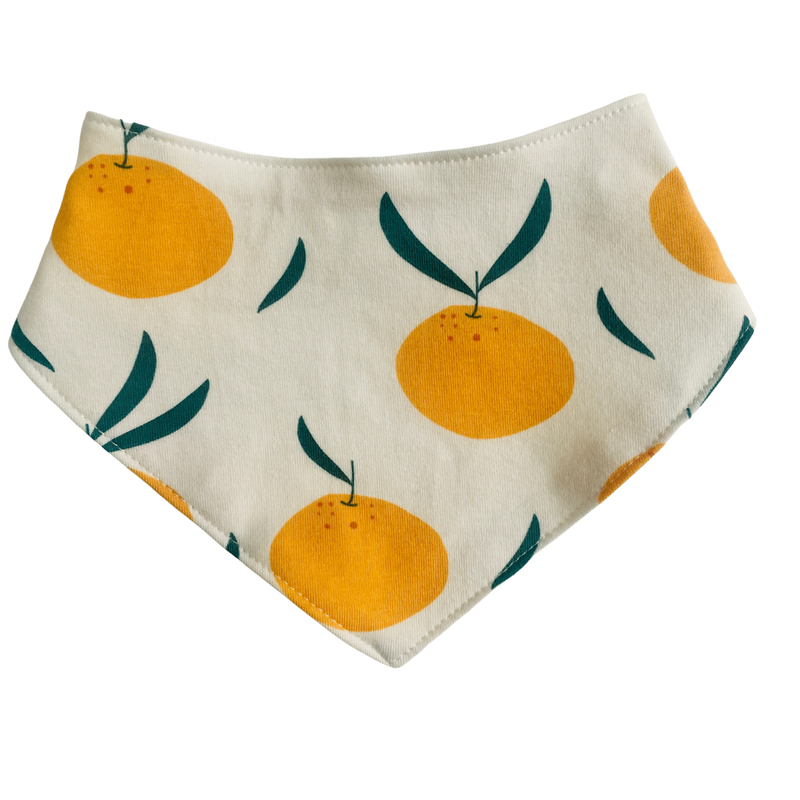 Eddie & Bee organic bib