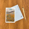 Postcard CA-1583 California Poppies
