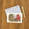 Postcard CC-30 Oranges, Poinsettias, Ojai