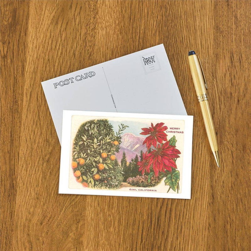 Postcard CC-30 Oranges, Poinsettias, Ojai