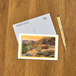 Postcard CD-32 Springtime in the California Desert