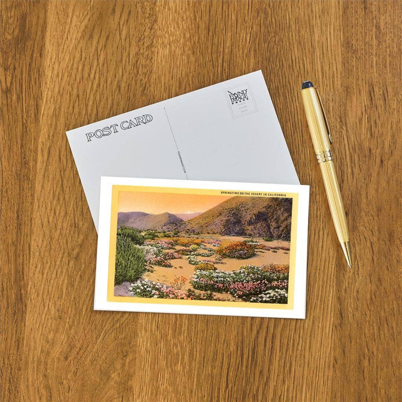 Postcard CD-32 Springtime in the California Desert