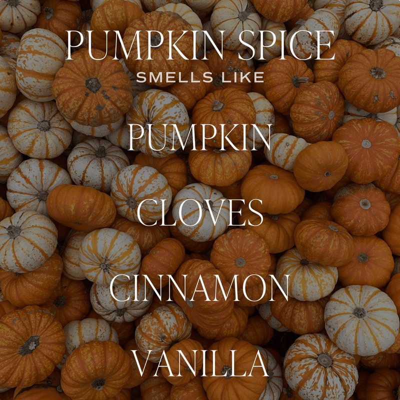 *NEW* Pumpkin Spice 9 oz Soy Candle - Fall Decor