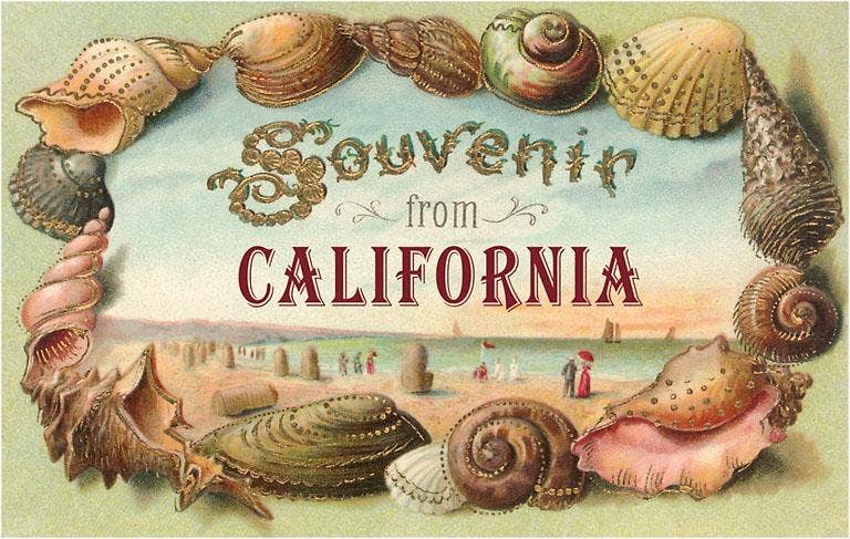 Postcard CA-1376 Souvenir from California