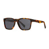 Rainier - Soft Honey Tortoise / Tortoise Temples