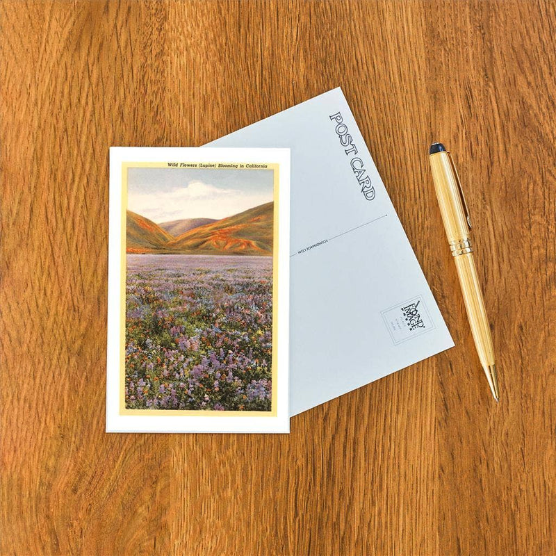 Postcard CA-115 Wildflowers in California