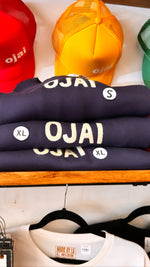 Ojai Raglan Crew Neck Sweatshirt