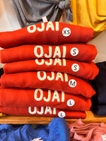 Ojai Raglan Crew Neck Sweatshirt