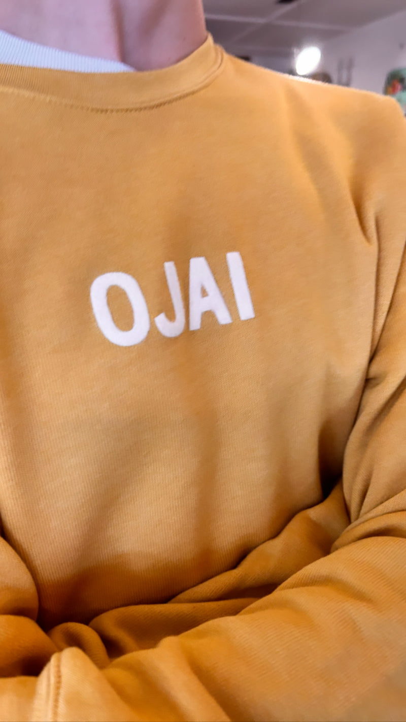 Ojai Raglan Crew Neck Sweatshirt