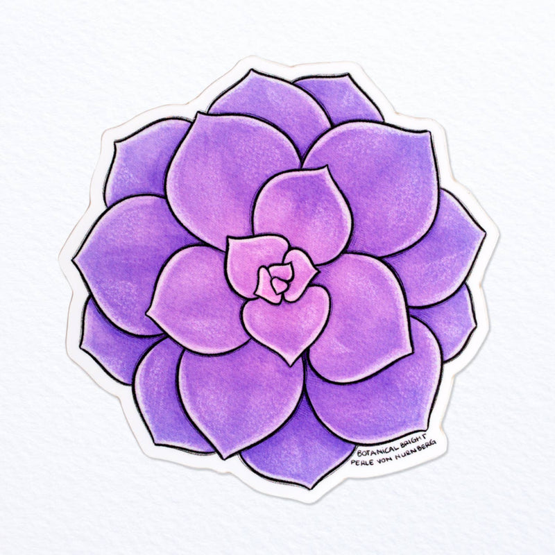 Succulent Echeveria Perle Von Nurnberg Vinyl Sticker