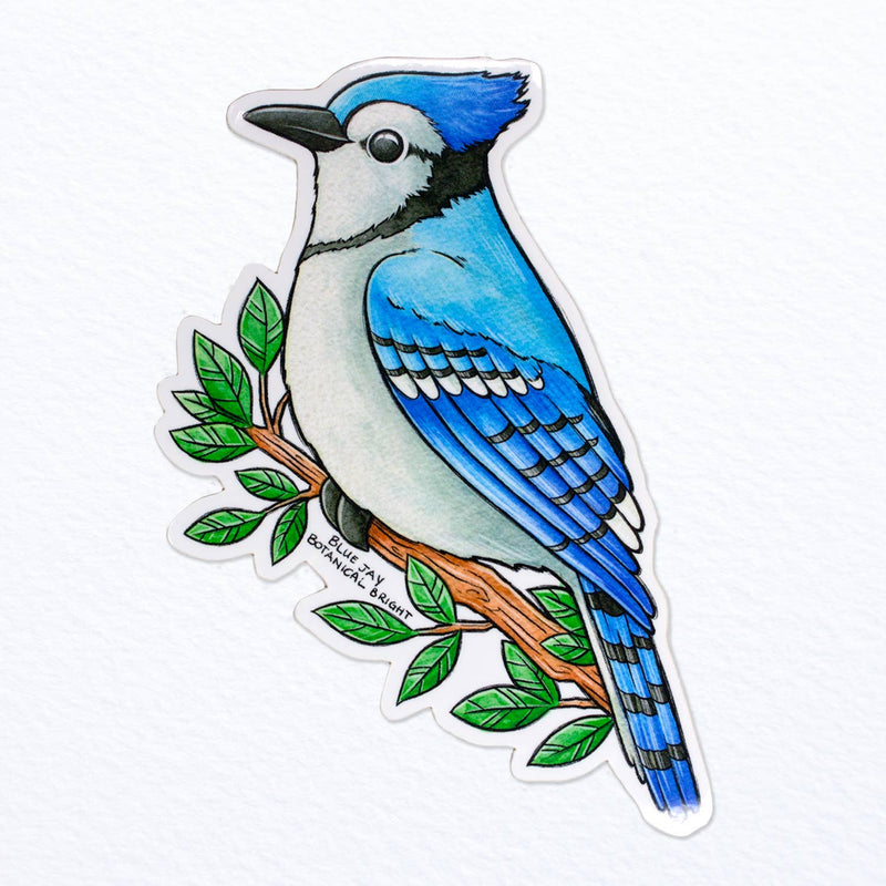 Blue Jay Bird Vinyl Sticker